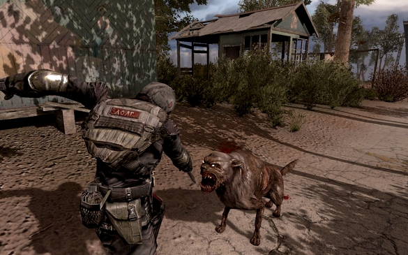 STALKER:  