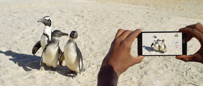 Sony  Apple   iPhone    