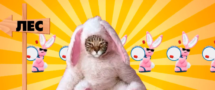 Феминистки пожаловались на оскорбительную рекламу российского смартфона