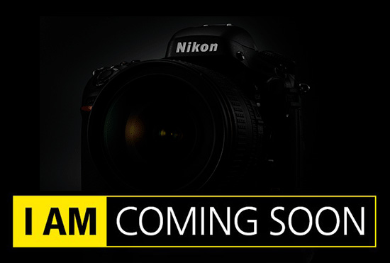 Nikon D800s