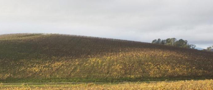 Windows 8.x    Windows XP