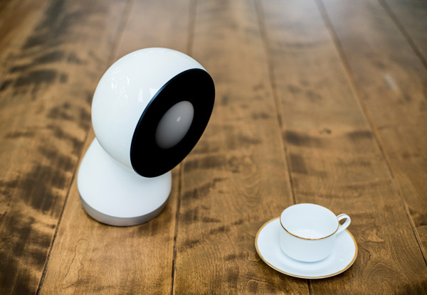Jibo