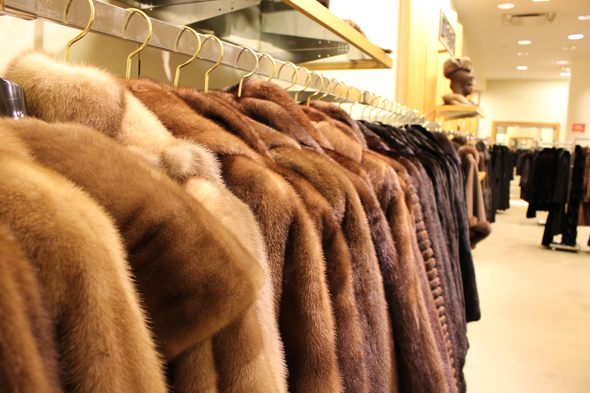 fur_coats