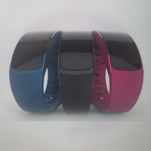 Samsung Gear Fit 2